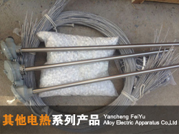 其他電加熱管系列產品